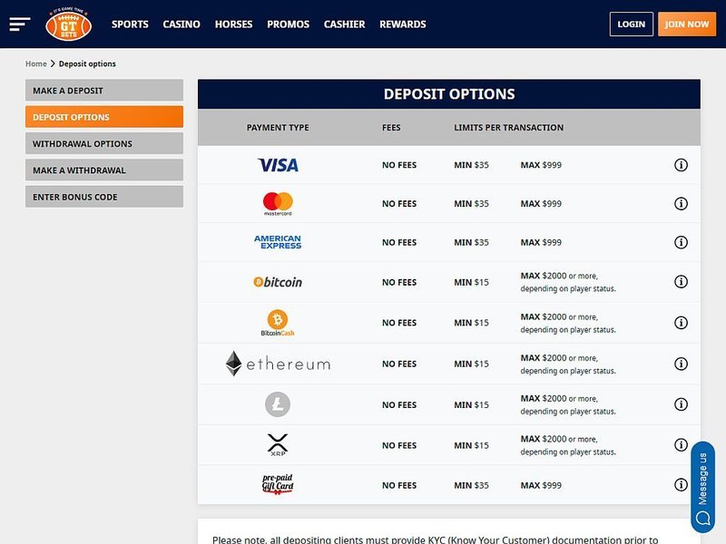 Image: De toekomst van entertainment: Online gamen en virtuele sociale ontmoeting